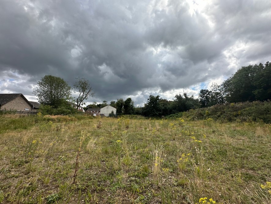 Development site Stokes Avenue, Watton, Thetford, Norfolk IP25 6LP