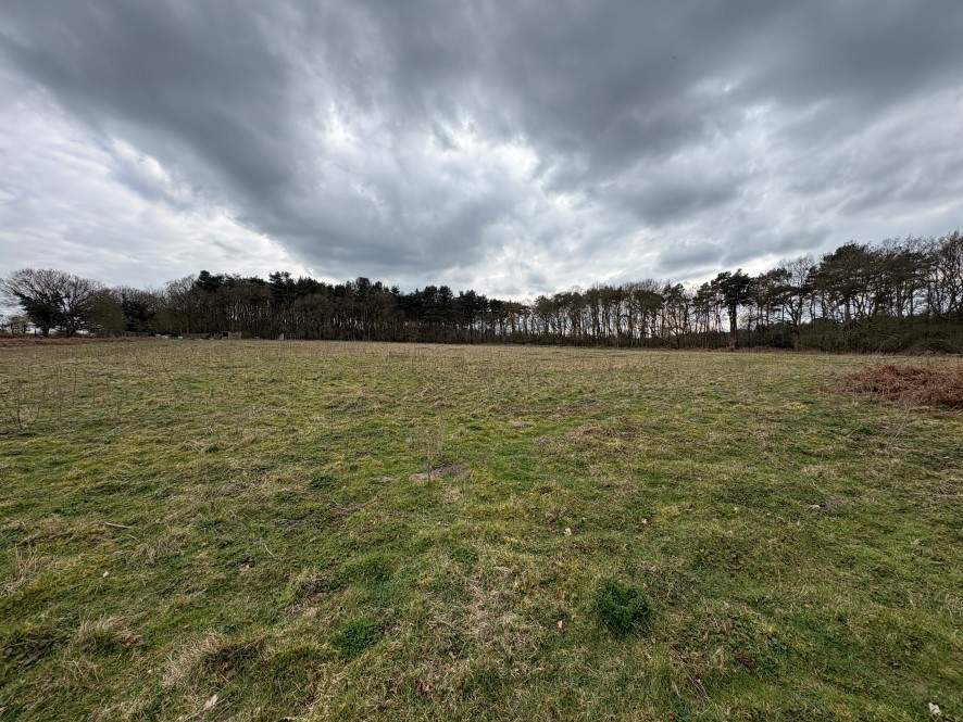 Land off New Road, Fritton, Great Yarmouth, Norfolk NR31 9HT