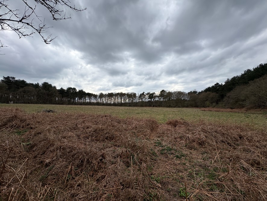 Land off New Road, Fritton, Great Yarmouth, Norfolk NR31 9HT