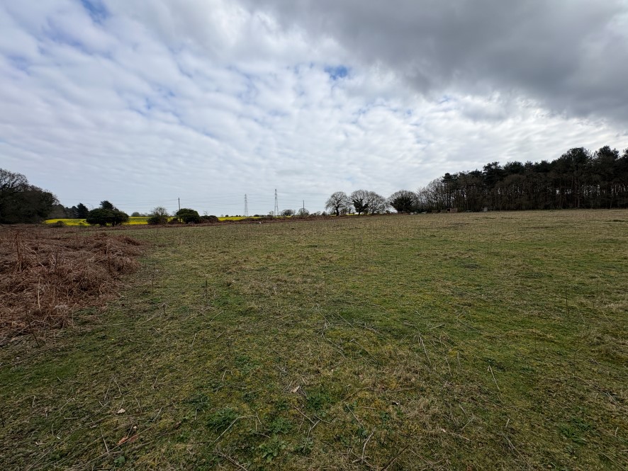Land off New Road, Fritton, Great Yarmouth, Norfolk NR31 9HT