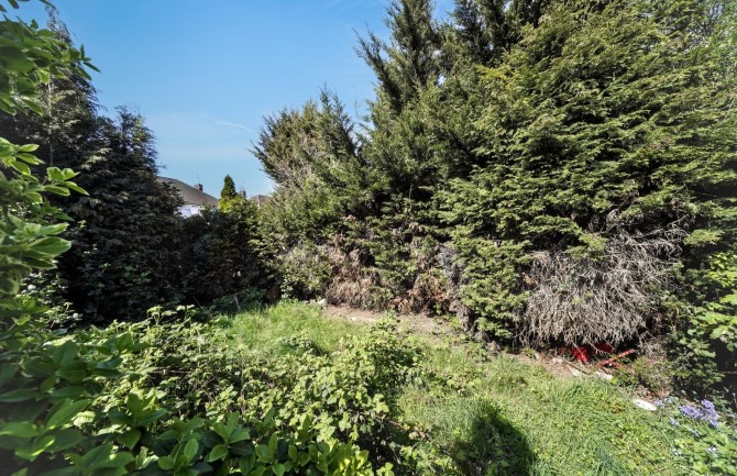 Lot Image