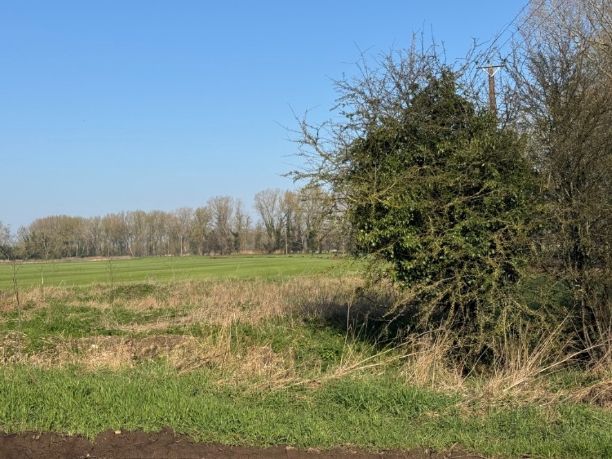 Fenland, Cooks Drove, West Row, Suffolk IP28 8QU