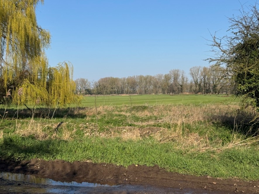 Fenland, Cooks Drove, West Row, Suffolk IP28 8QU