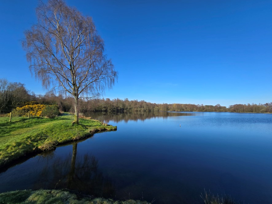 Whitemoss Dam, Bishopton, Renfrewshire PA7 5NY