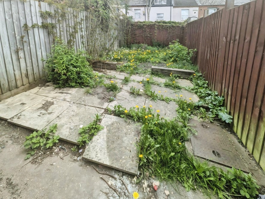 Lot Image