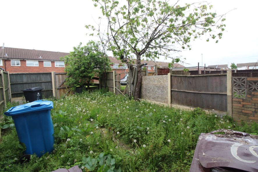 Lot Image