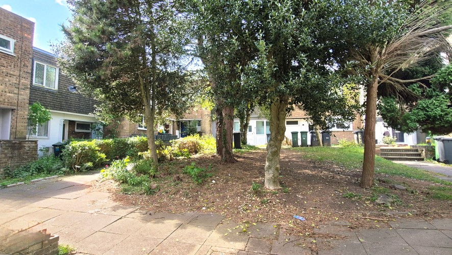 Lot Image