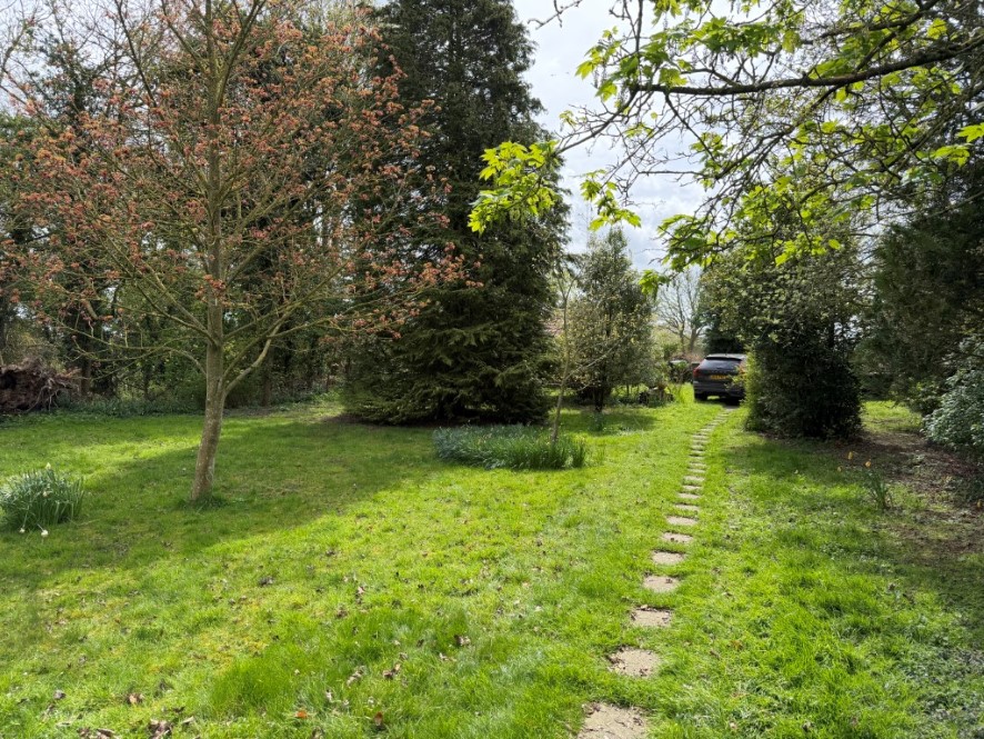 Lot Image