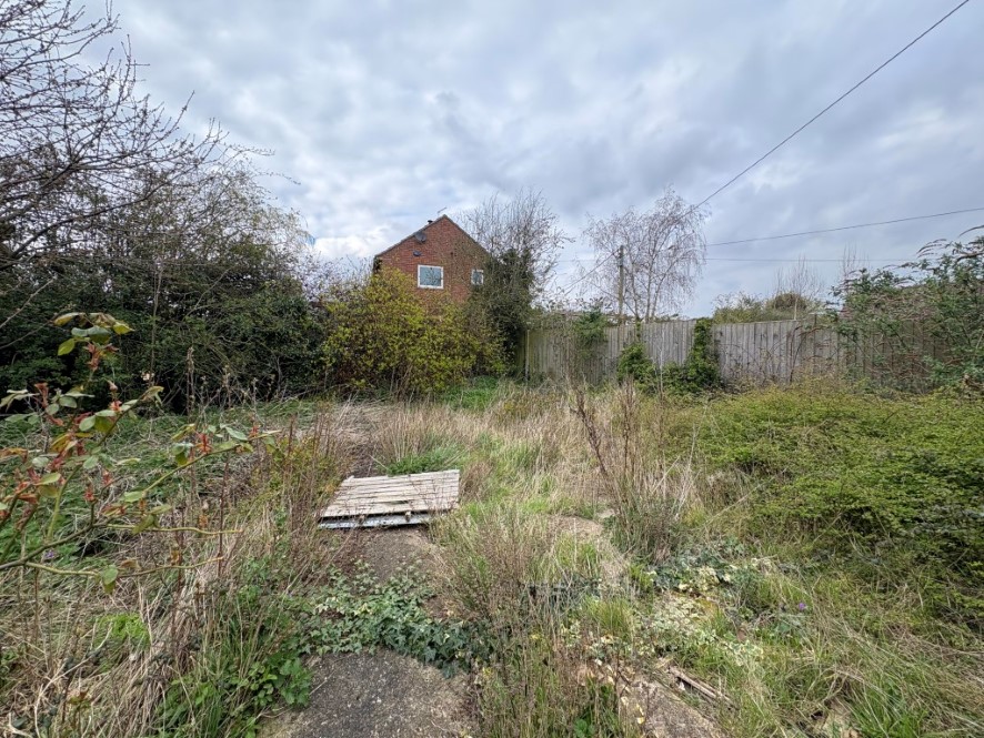 Lot Image