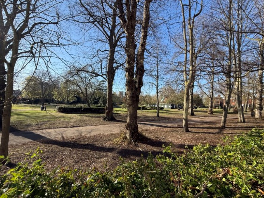 Lot Image