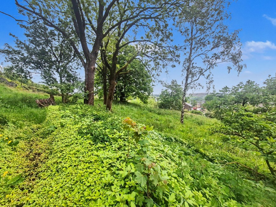 Lot Image