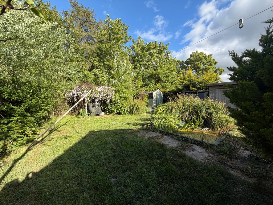 Lot Image