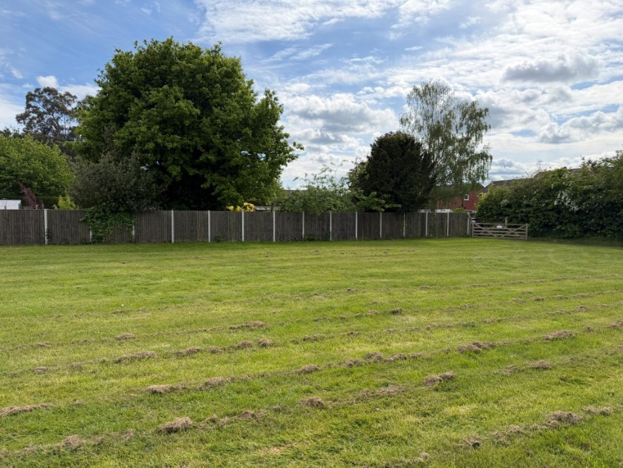 Lot Image