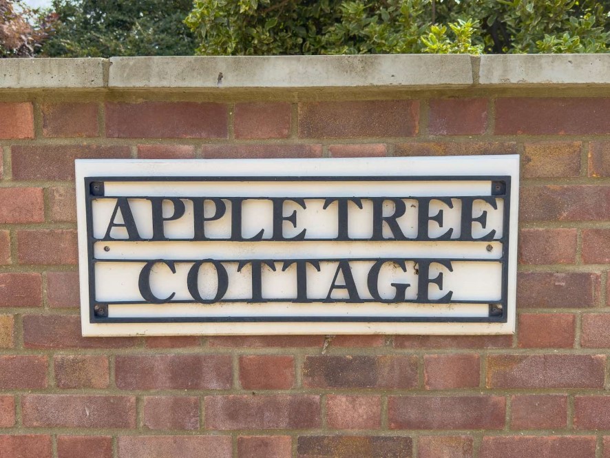 Lot Image