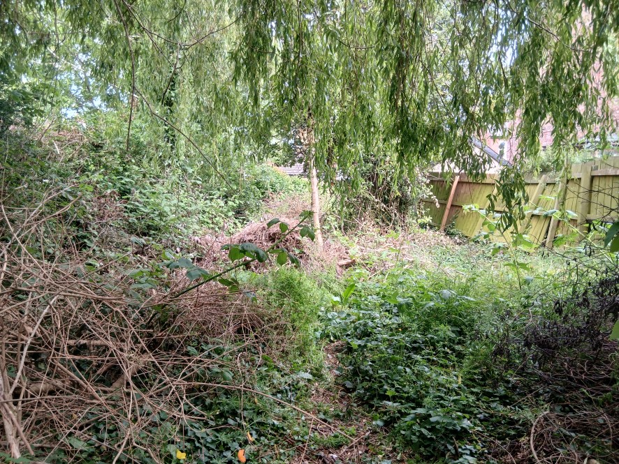 Lot Image
