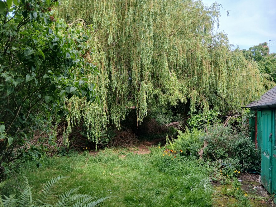 Lot Image