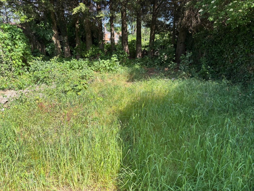 Lot Image