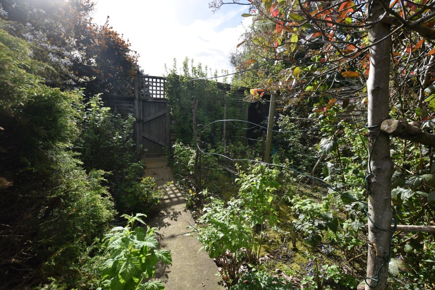 Lot Image