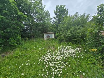 Property for Auction in Scotland - Old Carriage House, Houndwood, Scottish Borders TD14 5TP