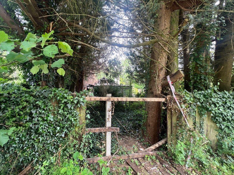 Lot Image