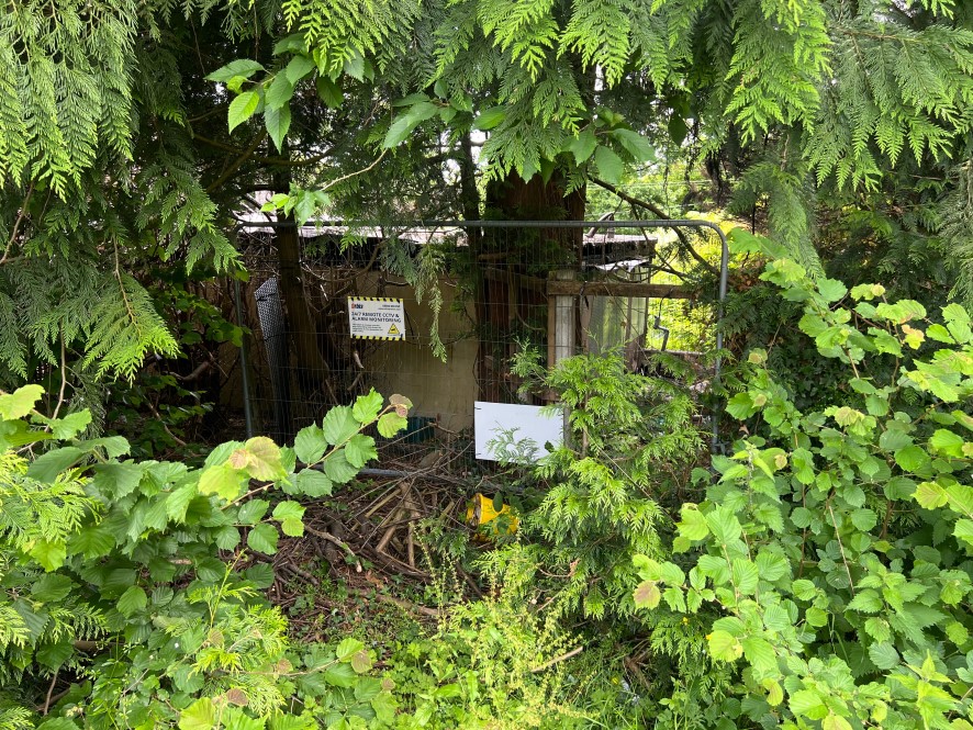 Lot Image