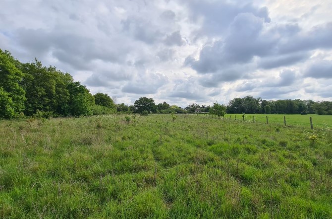 Land Adjacent to The Gables, Banters Lane, Great Leighs, Chelmsford, Essex, CM3 1NT