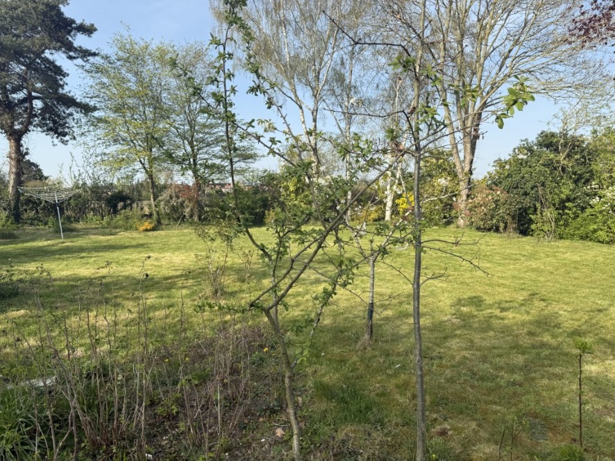 Plot at 2 Crow Hall Farm Cottage, Nightingale Lane, Downham Market, Norfolk PE38 9FD