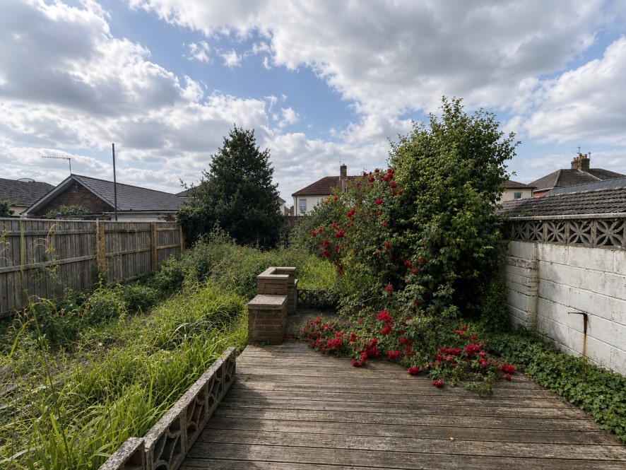 Lot Image