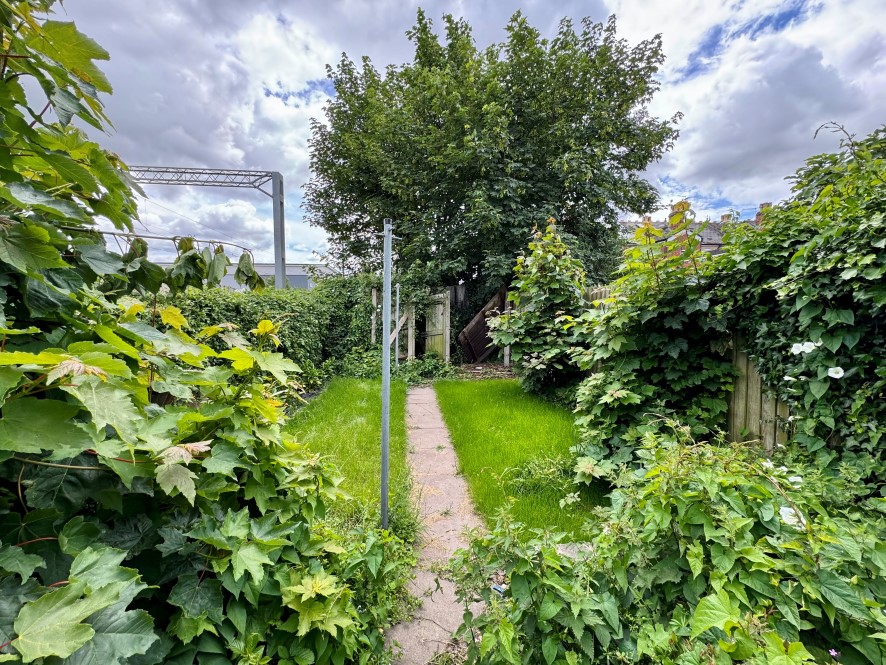 Lot Image