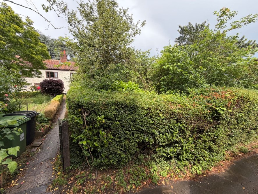 Lot Image