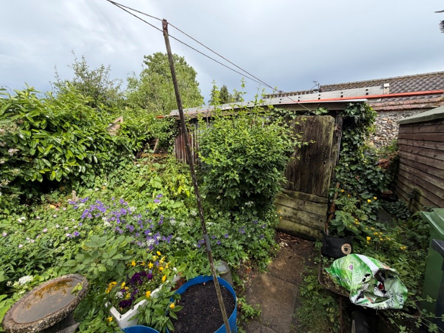 Lot Image