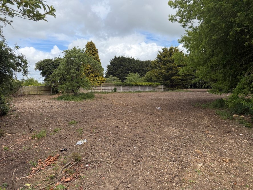 Lot Image