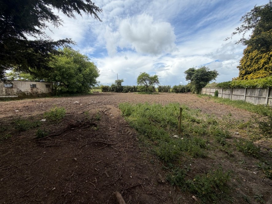 Lot Image