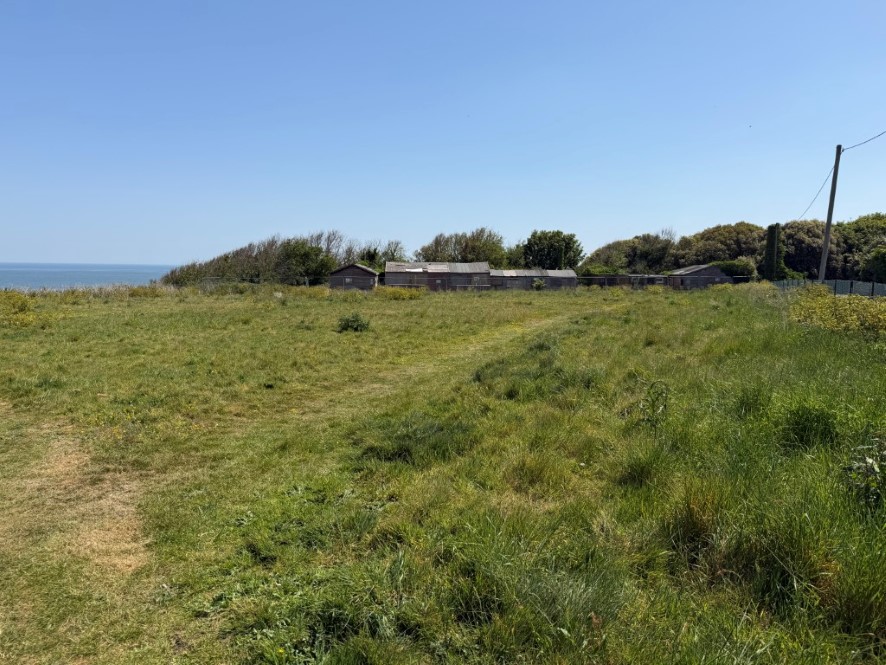 Lot Image