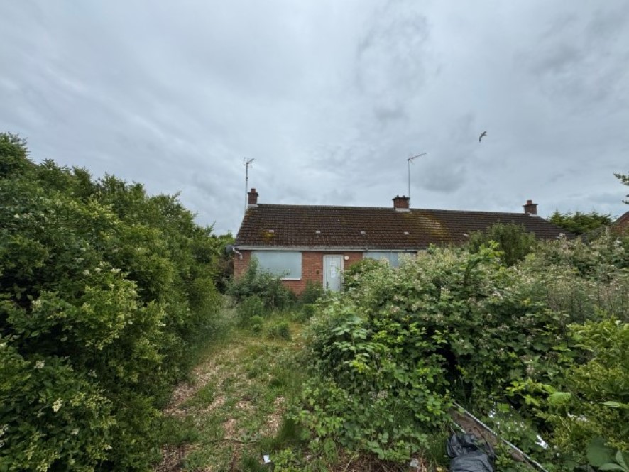 Lot Image