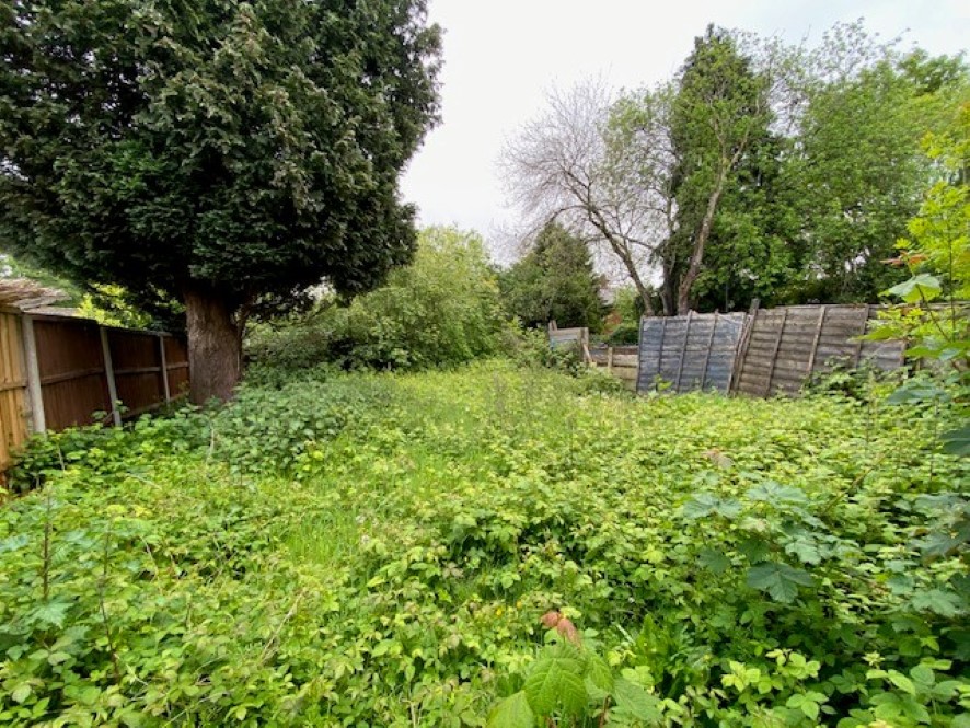 Lot Image