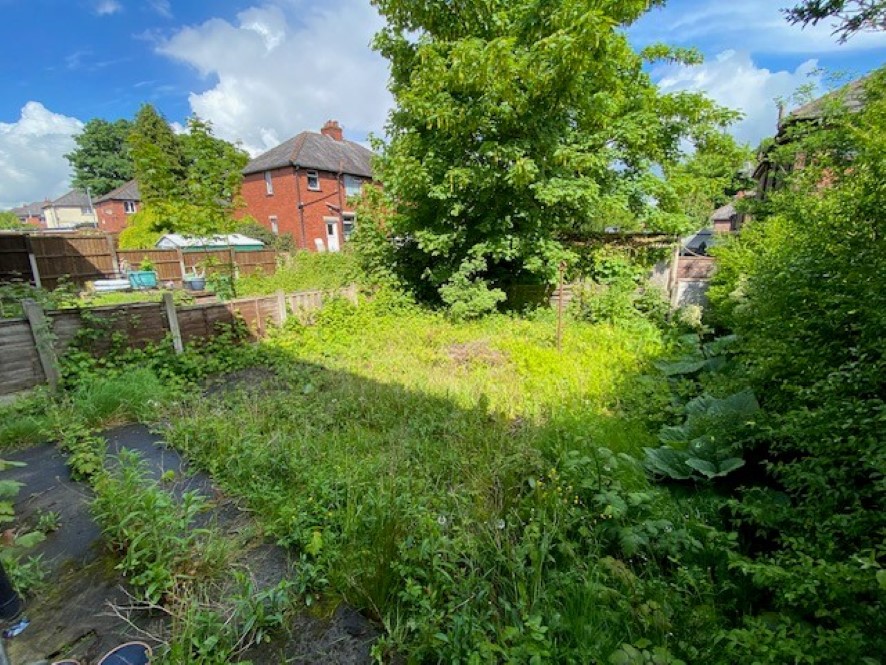 Lot Image