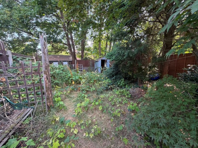 Lot Image
