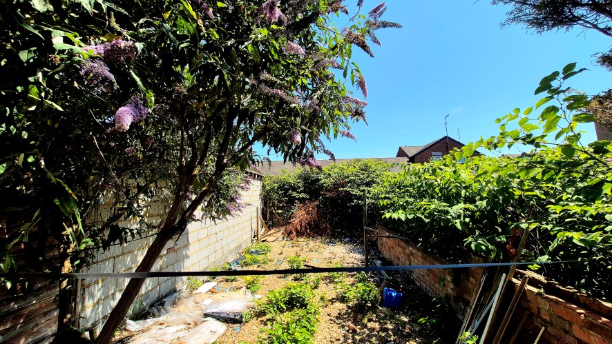 Lot Image
