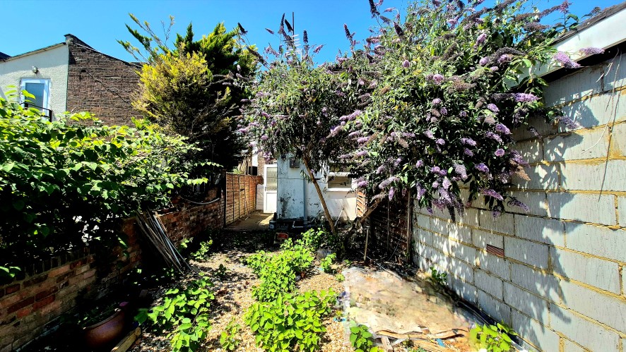 Lot Image