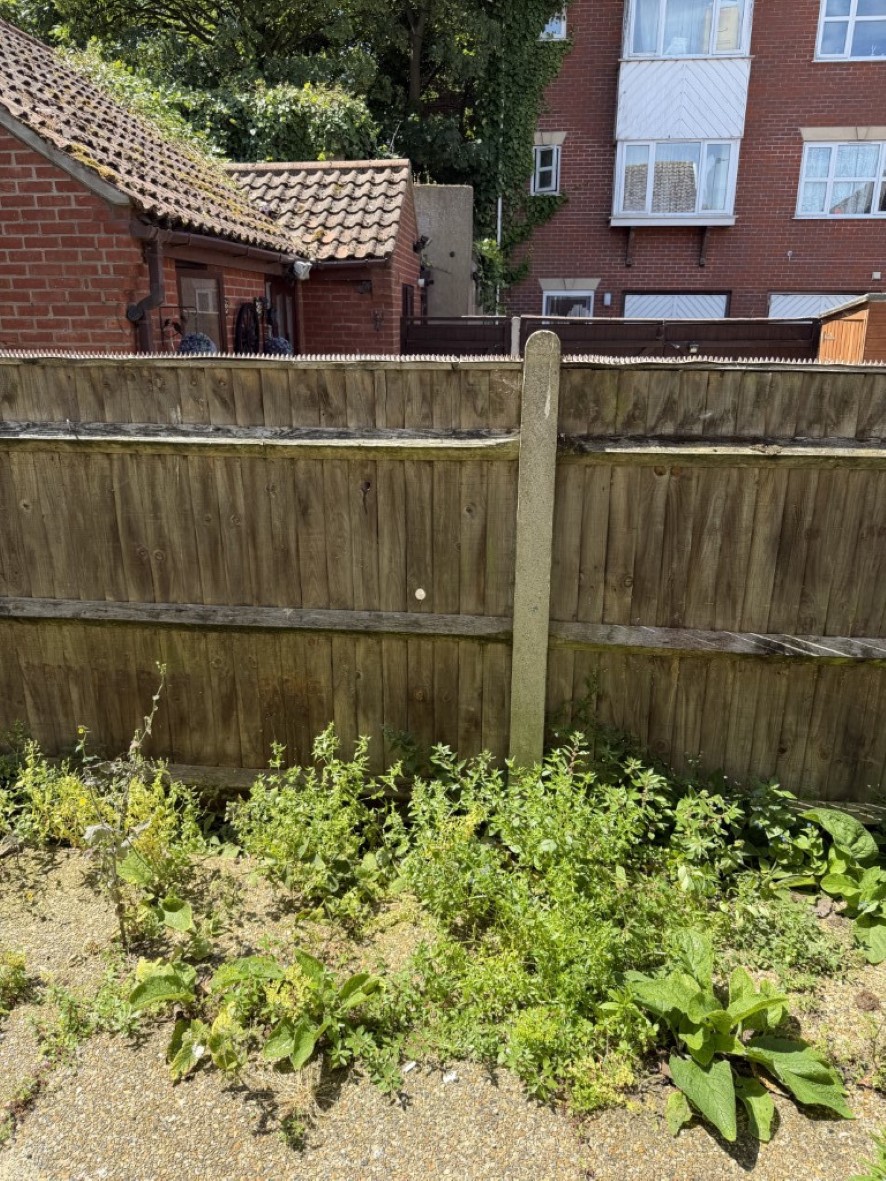 Lot Image