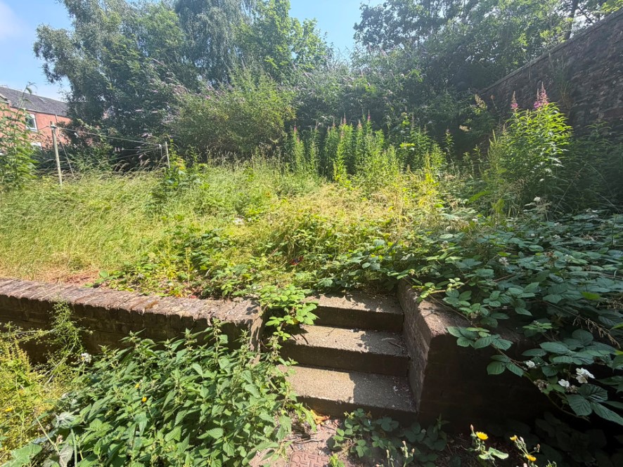 Lot Image