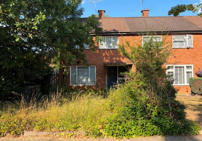 Lot Image