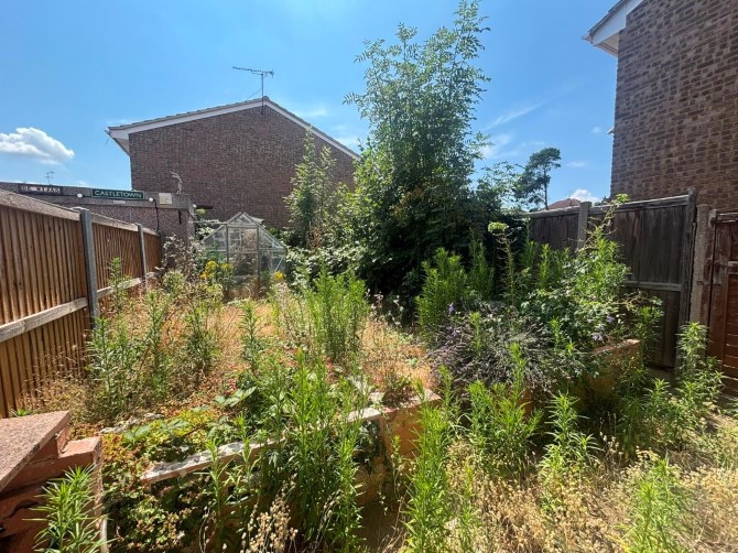 Lot Image