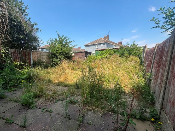 Lot Image