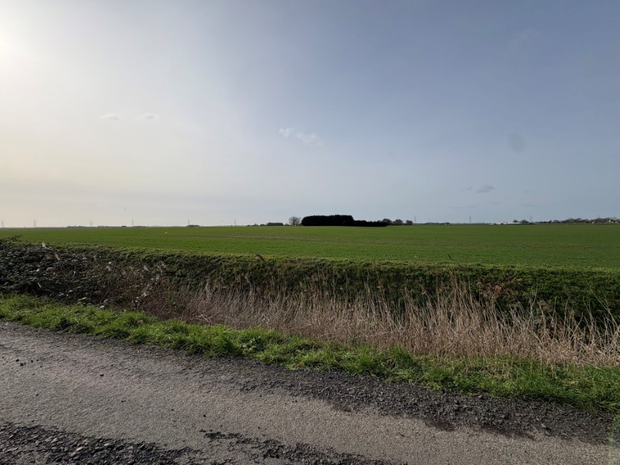 Lot Image