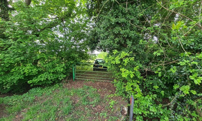 Lot Image