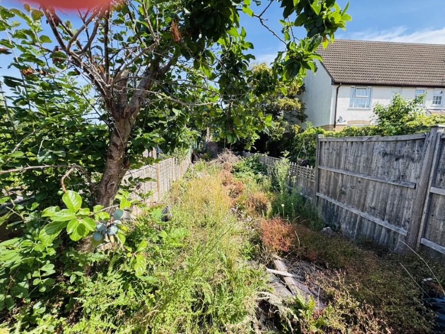 Lot Image