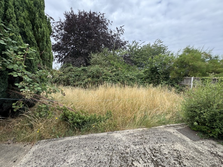 Lot Image