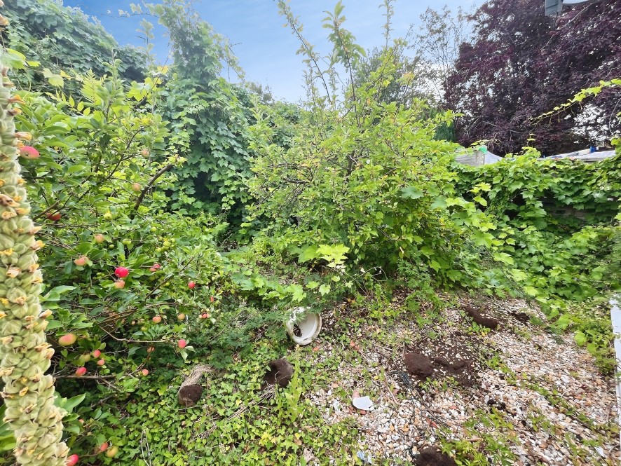 Lot Image